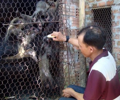 Cấp giấy chứng nhận trại nuôi sinh trưởng, nuôi sinh sản động vật hoang dã quý hiếm theo quy định tại Phụ lục II,III Công ước CITES và nhóm II theo quy định Pháp luật Việt Nam