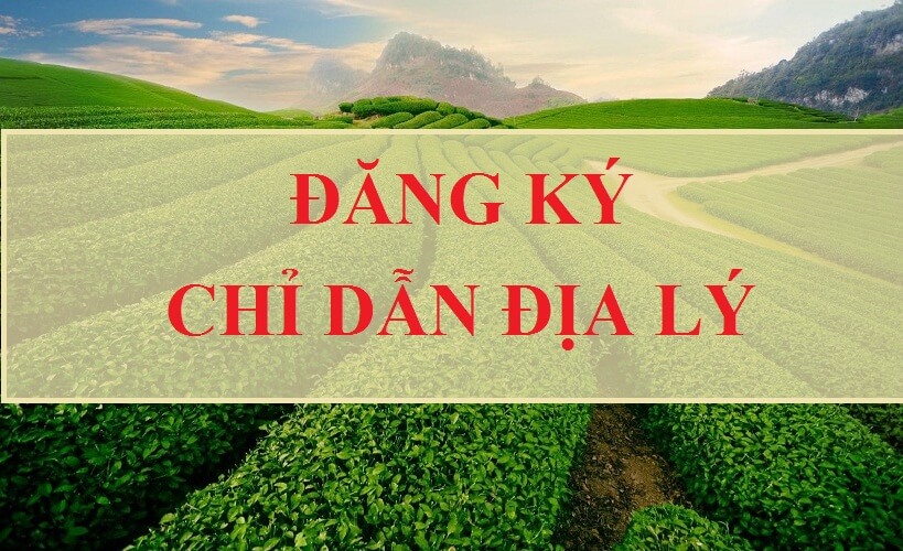 THỦ TỤC ĐĂNG KÝ CHỈ DẪN ĐỊA LÝ