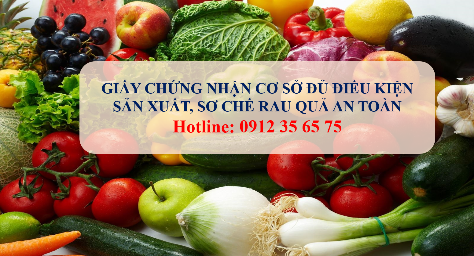 Giấy chứng nhận cơ sở đủ điều kiện sản xuất, sơ chế rau quả an toàn.