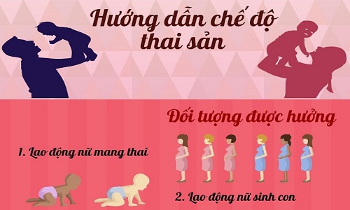 ĐƠN PHƯƠNG CHẤM DỨT HỢP ĐỒNG LAO ĐỘNG VỚI PHỤ NỮ MANG THAI