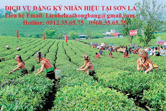 DỊCH VỤ ĐĂNG KÝ NHÃN HIỆU TẠI SƠN LA