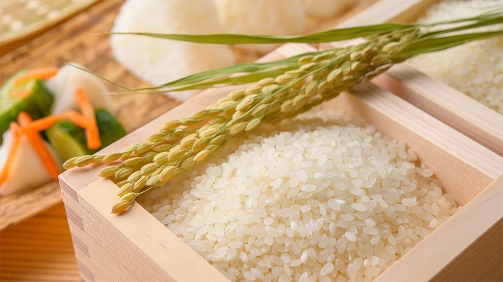 Dịch vụ xin cấp Giấy chứng nhận đủ điều kiện kinh doanh xuất khẩu gạo