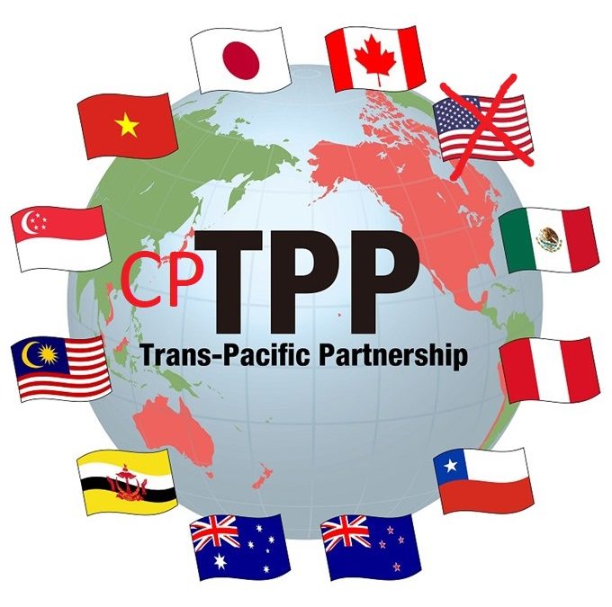 Dịch vụ xin cấp Giấy chứng nhận xuất xứ hàng hóa (C/O) ưu đãi mẫu CPTPP