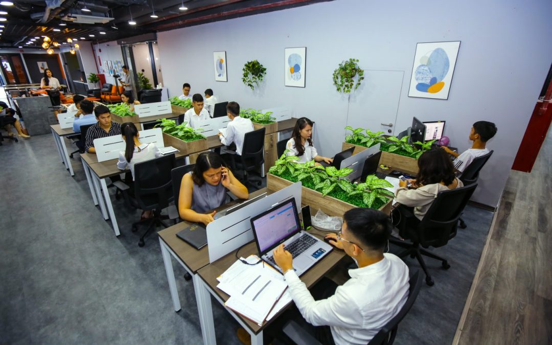 Thành lập PMO tại Việt Nam