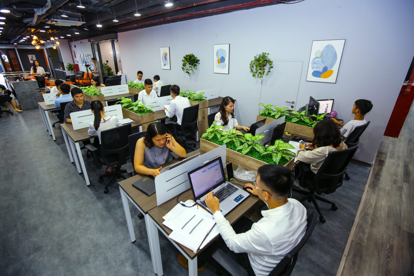 Thành lập PMO tại Việt Nam